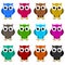 Many owls multicolor series