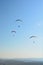 Many paragliders simultaneously is flying in a clear blue sky