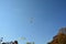 Many paragliders simultaneously is flying in a clear blue sky