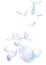 Many Pastel Feather fly fall in Air over white background isolated. Puffy Fluffy soft feathers as purity smooth like dream