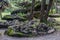 Many pebble stacks on boulders in forest park