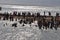 Many people bathing in the sea of Cape Comorin