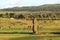 Many People Waiting for the Famous Sunset View at Ahu Tahai, the Ceremonial Platform with Moai Statue on Easter Island, Chile