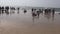 Many peoples on Arabian sea beautiful resort beach in Goa, Panaji
