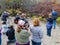 Many Photographer were taking picture of a bear hunting fish