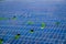 Many Photovoltaic Solar Panels background at a Solar Farm