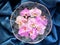 Many pink orchids in a round crystal vase