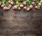 Many pink shrub roses, on the branches, laid out in a line border ,place for text wooden rustic background top view