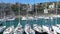 Many pleasure yachts in the Marina in the Italian Riviera