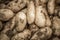 Many potatoes on the store counter,