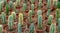Many potted cactuses background. Selective focus