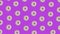 Many pulsating moving glazed donuts on purple background, 3d video animation.