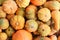 Many pumpkins as autumn background