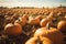 Many pumpkins ready to decorate houses at Halloween. Generative AI