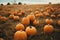 Many pumpkins ready to decorate houses at Halloween. Generative AI