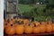 Many pumpkins for sale at farm stand in Maine