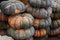 Many pumpkins are on sale at the local market