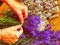 Many Purple levander flower on old wooden table