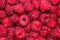 Many raspberries, background of berries, top view.