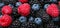 Many raspberries, blackberries, blueberries, background of berries.