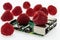 many raspberries and circuit board with rj45, hdmi and usb connectors