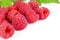 Many raspberries leaves corner template isolated white