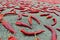 Many red chili peppers drying on the ground