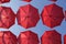 Many Red coral umbrellas against the blue sky. View from below. Abstract background with red umbrellas.