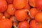 Many Red Kuri Hokkaido squashes in pile of pumpkins