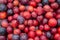 Many red plums close-up, background. Harvest red plum, farm garden fruit on supermarket stall