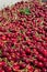 Many red ripe cherries in a bin ready to be packaged for sale