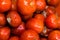 Many red tomatoes are covered with mold and rot.