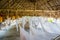 Many relaxing hammocks in a big beach bungalow