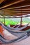 Many relaxing hammocks under a bungalow, with a blurred nature background in Tairona National Park, Colombia