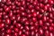 Many ripe burgundy dogwood berries, background. Summer harvested fruits, top view