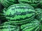 Many ripe green watermelons display on the market