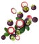 Many ripe mangosteen fruits and leaves falling on white background