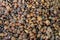 Many ripe raisins and dried fruits scattered on a table at street market