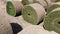 Many rolls of twisted green natural grass for a football field or garden.