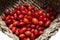 Many rosehips in a basket