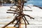 Many rusted anchors left to dry on the sun at Red Bay, Labrador