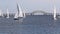 Many sailboats out on the bay in January with the Great South Bay bridge in the background