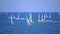 Many sailboats race,Burgas bay