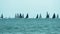 Many sailboats sailing in a Michigan Lake