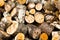 Many sawed birch stumps for logging