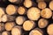 Many sawed pine logs stacked closeup