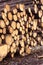 Many sawed pine logs stacked closeup