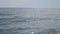 Many shiny reflections of the sun in water surface. Footage. Close up of the ocean with small ripples on a sunny day