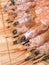 Many shrimp on a wooden plate and placed in a row