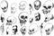 Many sketches and doodles of skulls nad horror cretures